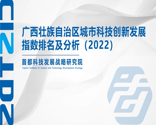 亚州操B【成果发布】广西壮族自治区城市科技创新发展指数排名及分析（2022）